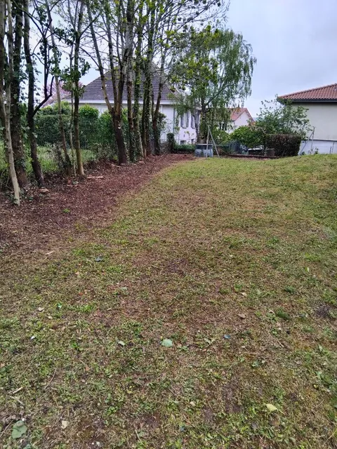 Jardin après élagage