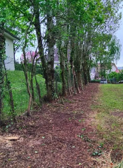 Terrain débroussaillé