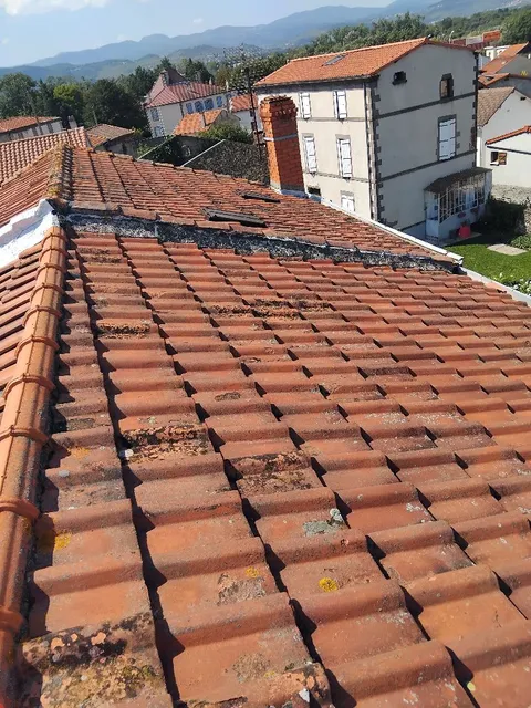 Toiture sale avant