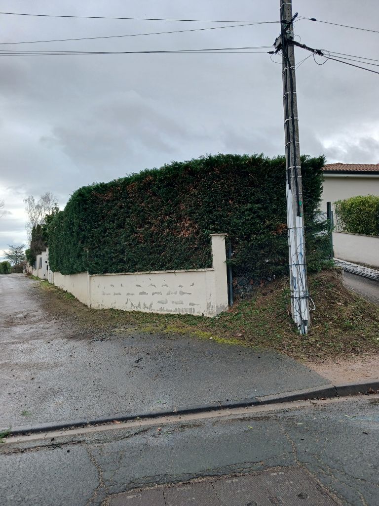 Élagage et Entretien Espaces Verts à Riom