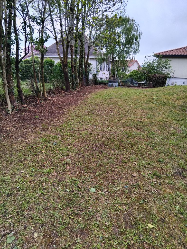 Jardin après élagage