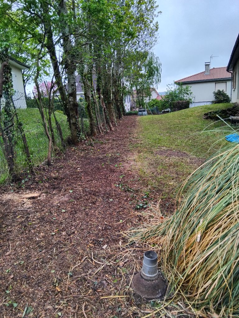 Terrain débroussaillé